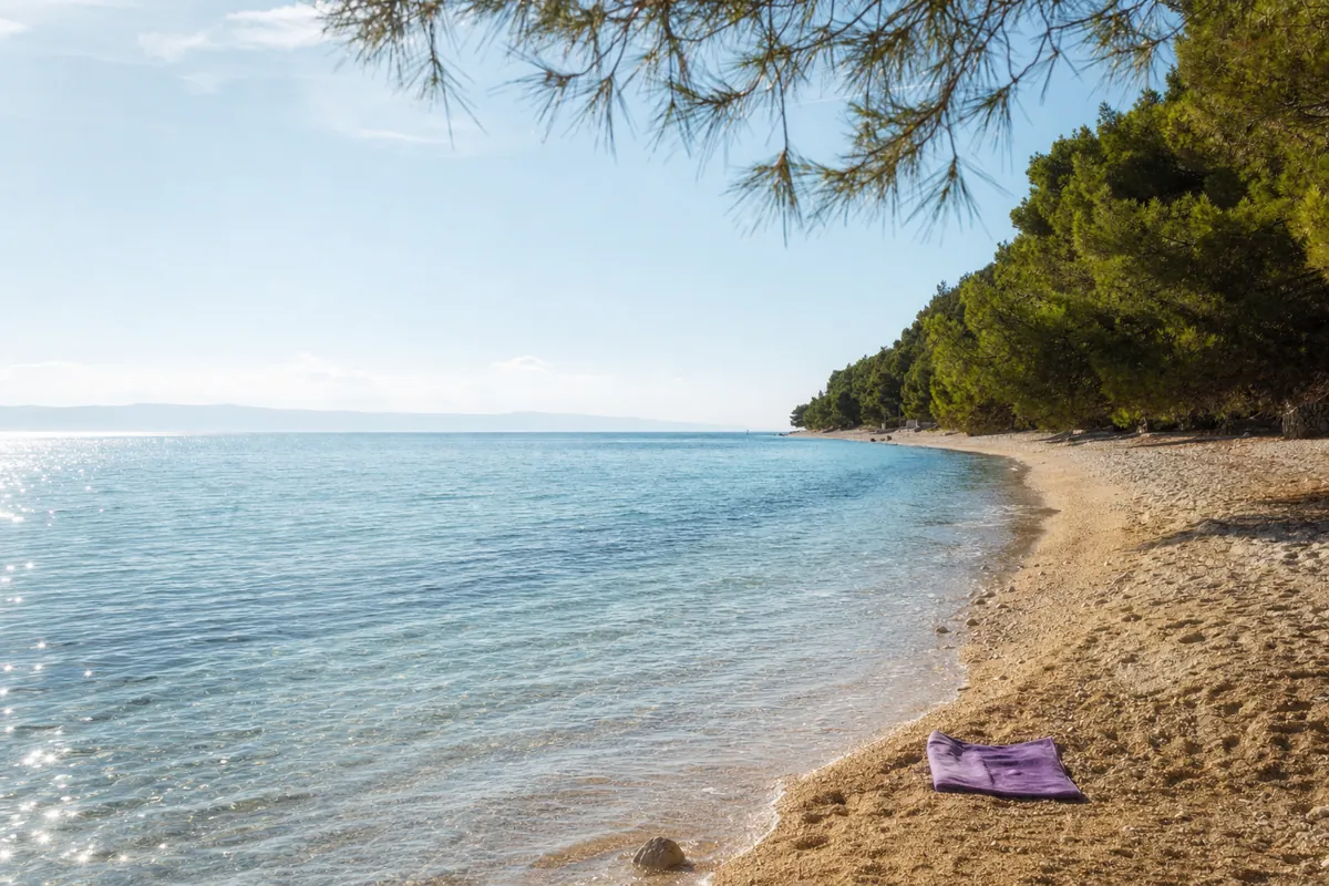 Tiha plaža s borovima i plitkim tirkiznim morem, uvodni motiv stranice izrada logotipa Zadar